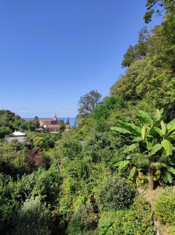 Guest House Chalet Agave Gagra Exterior foto